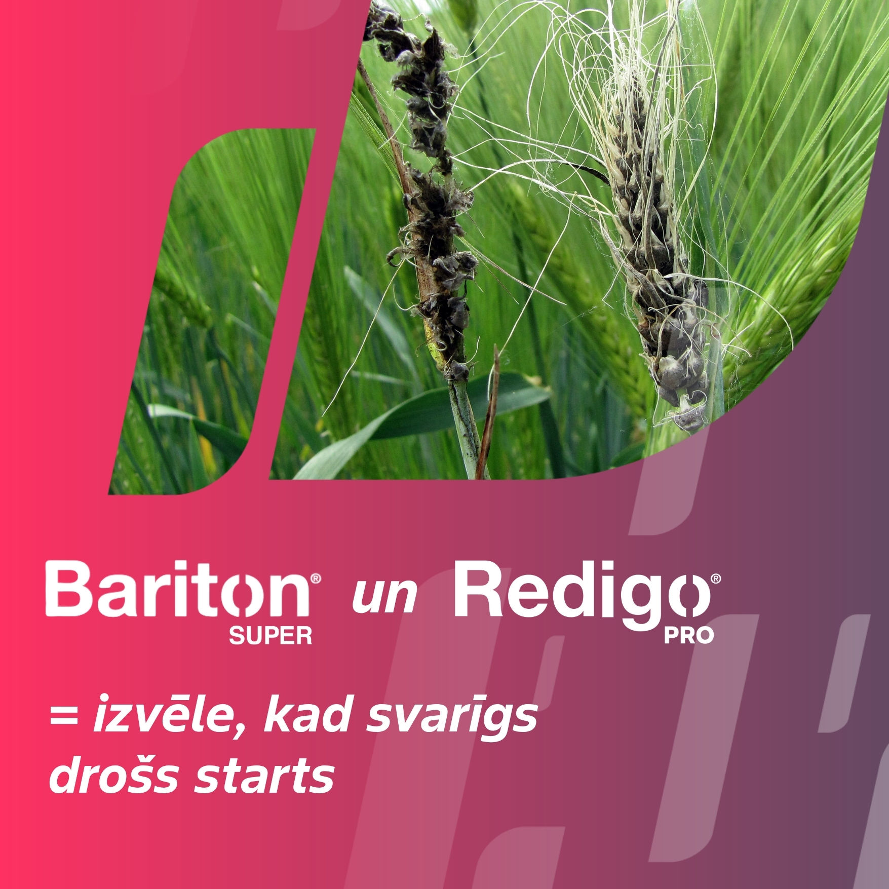 Bariton Super un Redigo Pro